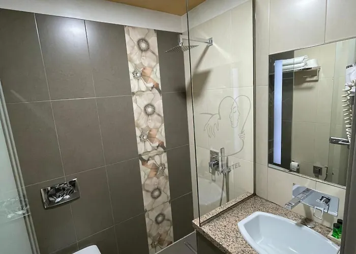 新w酒店 地拉那