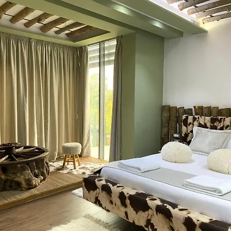 Hotel New W 4*